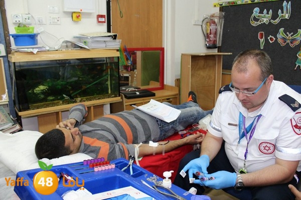 dam kenan0331 (24).jpg